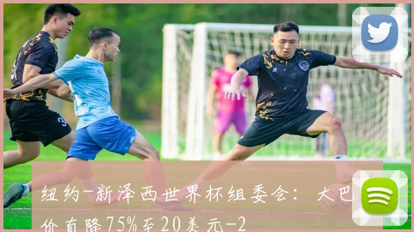 纽约-新泽西世界杯组委会：大巴票价直降75%至20美元