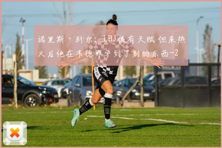 诺里斯·科尔：LBJ很有天赋 但来热火后他在韦德那学到了别的东西