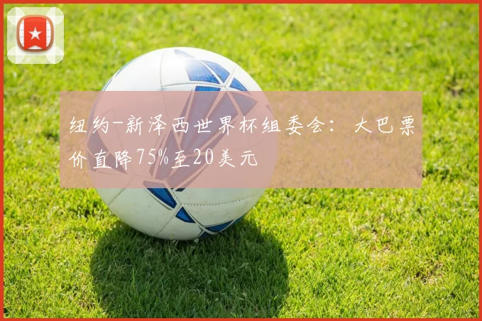 纽约-新泽西世界杯组委会：大巴票价直降75%至20美元