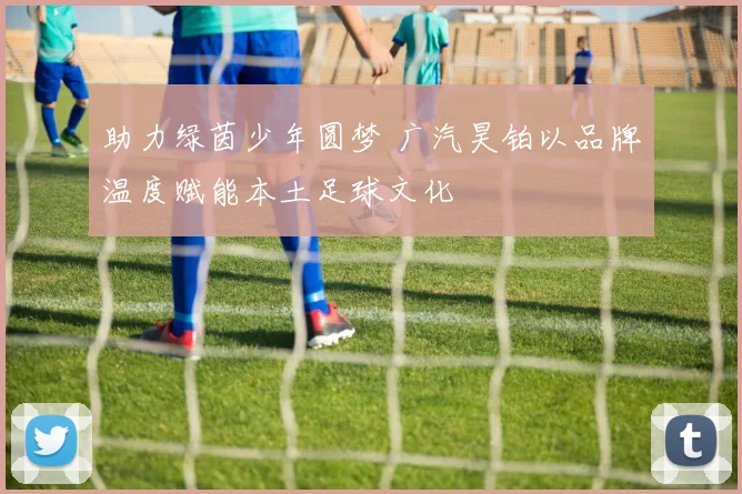助力绿茵少年圆梦 广汽昊铂以品牌温度赋能本土足球文化